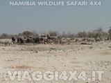 VIAGGI 4X4 IN NAMIBIA