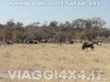VIAGGI 4X4 IN NAMIBIA